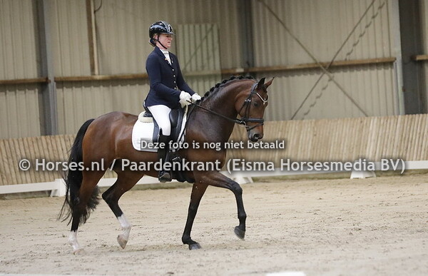20 Norabel (Just Wimphof x White Spot v. Don  Schuffro) Femke Beljon