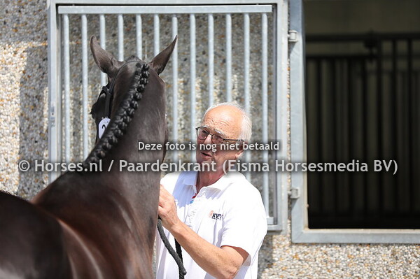 20 Marywood Tarpania