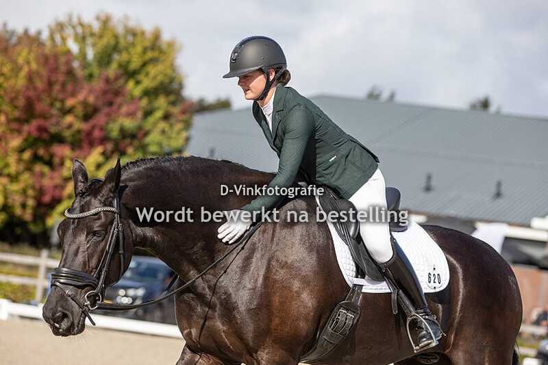 Sophie Leemans - Willem L