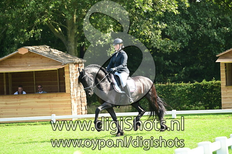 MGPNGP Yde van de Noeste Hoeve
