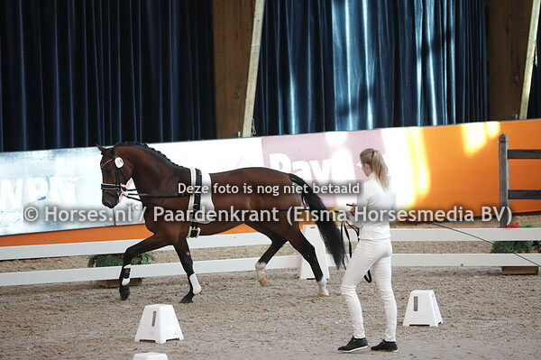 381 (Ferdinand x United)