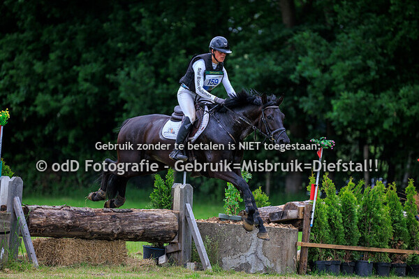 SGW Markelo Snorrewind Paard B Pony L 01-06-25