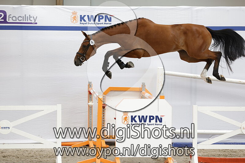 Pooh Bresco v. Eldorado van de Zeshoek