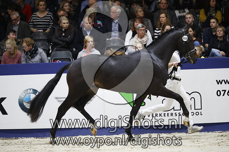 Lord Vrijenesse v. Ferdeaux