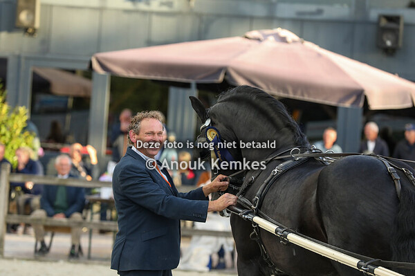 Friezen dames ( ereronde )