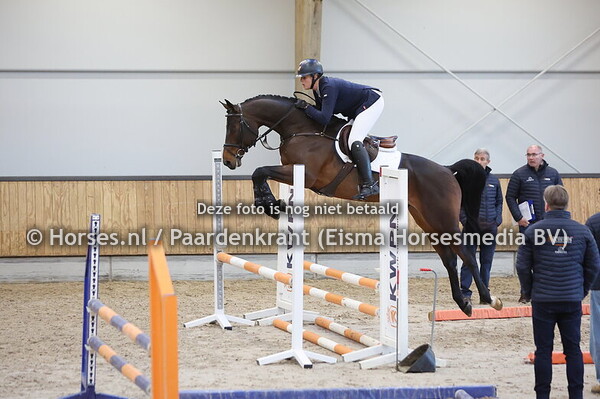 19 R (United Touch x Cash du Plessis)