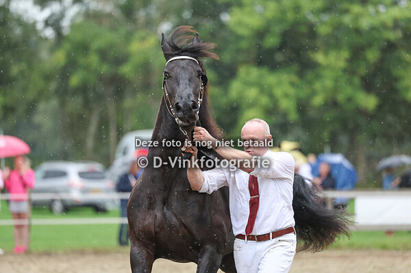 43. Roxanne het Wase Hof