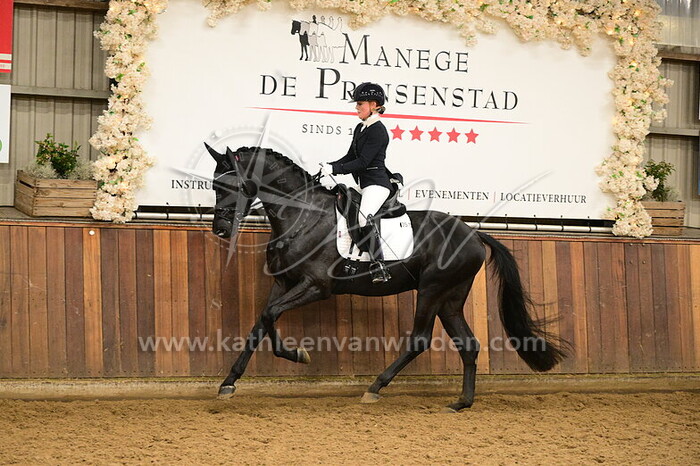 Kim Noordijk - Showtime S