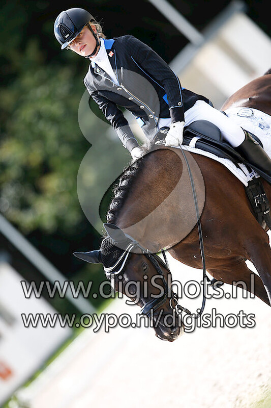 Ring 3 Dressuur Z1 cat DE