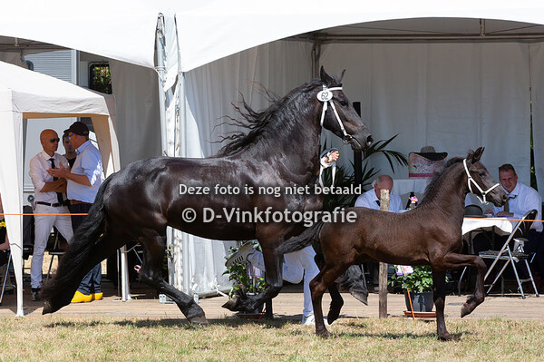 62. Hidde Hindriik fan fiif Roazen
