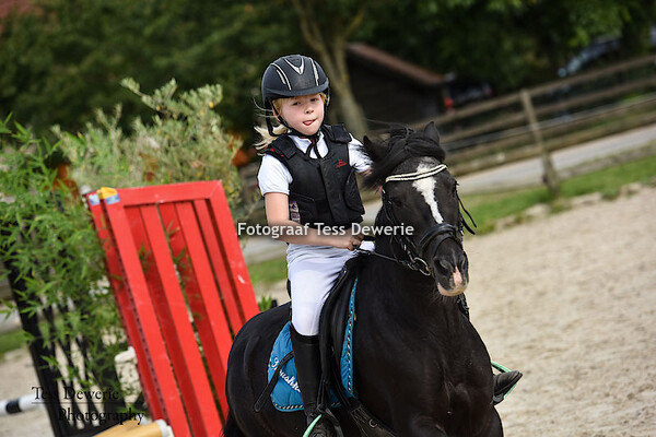 Open Jumping bij Stal Ceulemans 05.08.2015