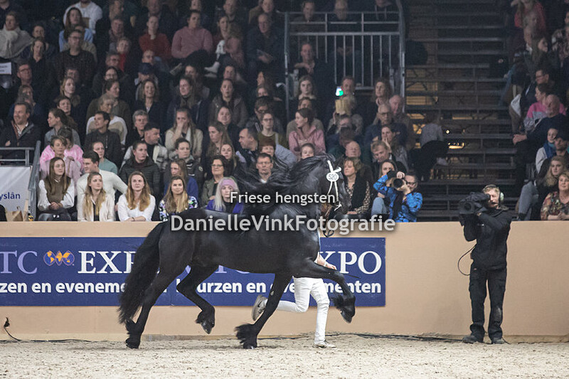 Hengstenkeuring 2023 Foeke 520