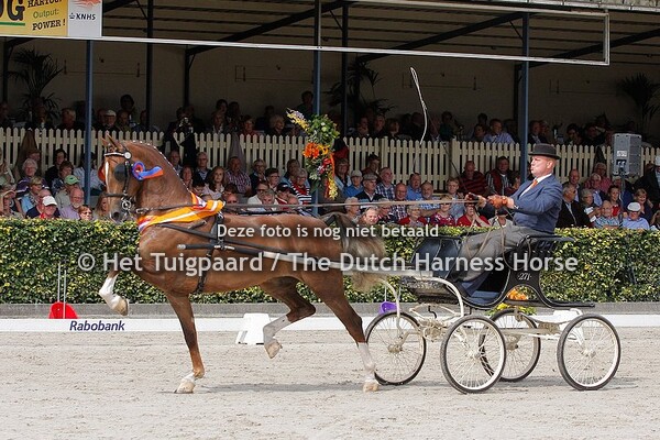 Heliotroop (Colonist x Reflex M)