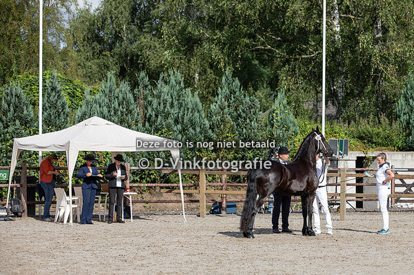 88. Iefke Fleur fan fiif Roazen