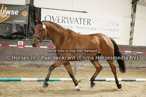 79 Lafayette (Expression x Desiree v. Uphill)