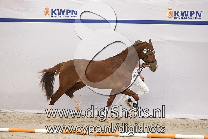 Sulver VDM v. Le Formidable