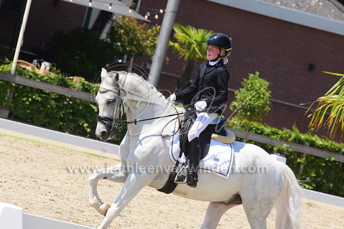 Feline Holdinga - Renoir