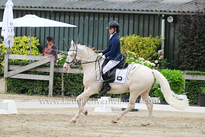 Danae van Steeg - Houston B