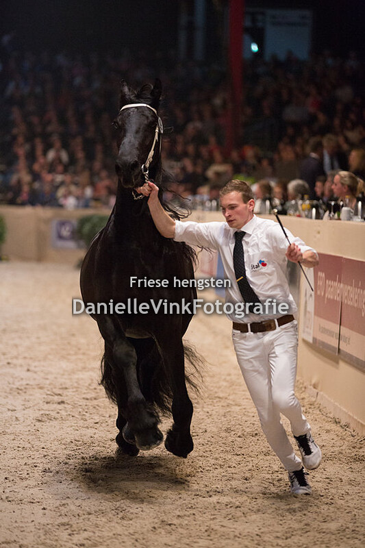 Hengstenkeuring 2018 Siert 499