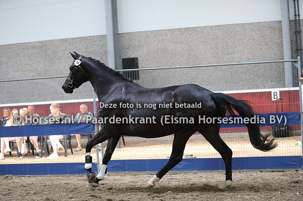 14 Opera Catrasse Texel