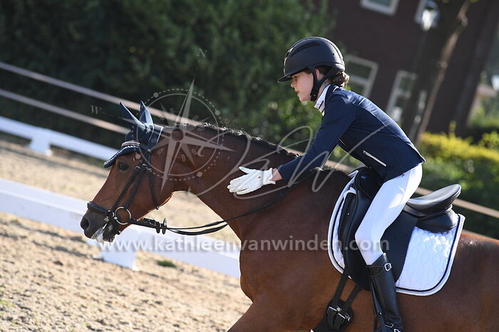 Klasse B pony's cat. CDE