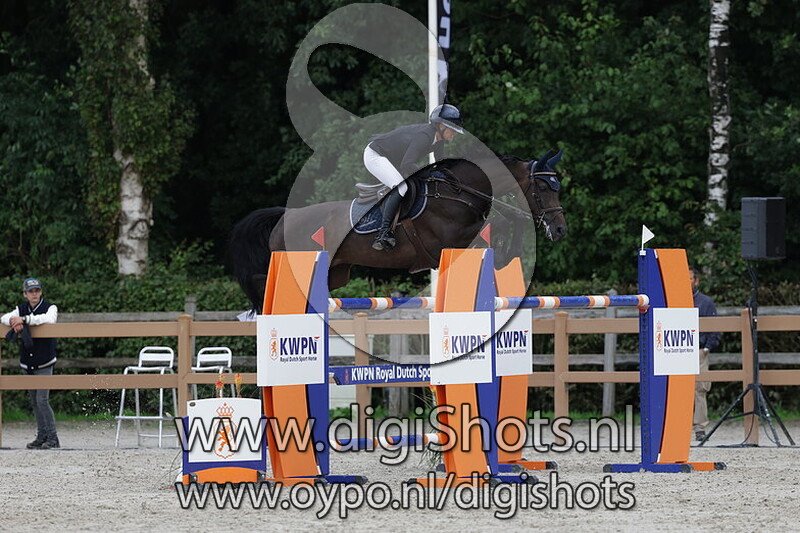 N-special de fony-bo