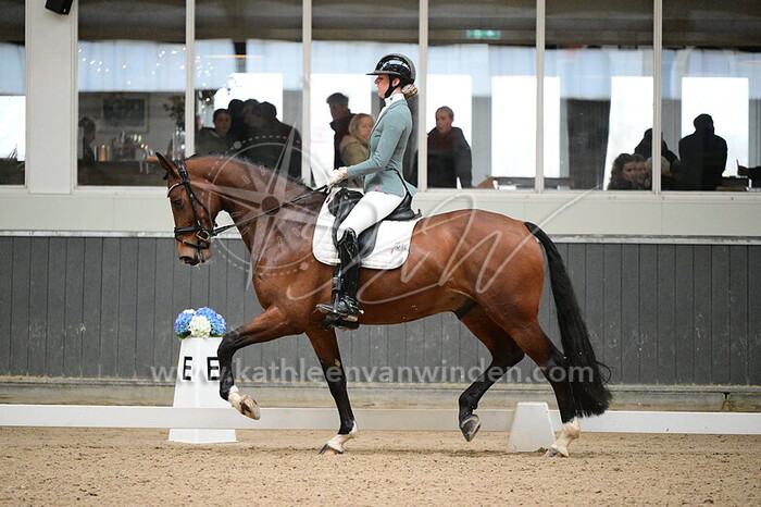 Chantal Verdonk - Orlando