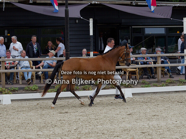 Sectie NWR, 05-07-2025