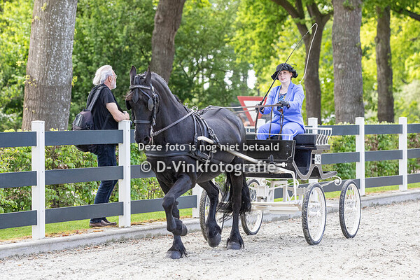 Rubriek 10. Young riders