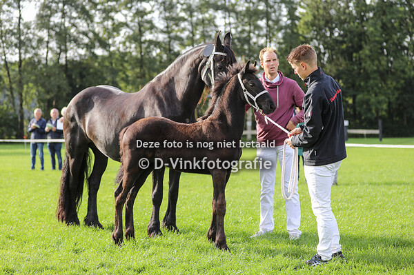 09. Zino van 't Wilbroek