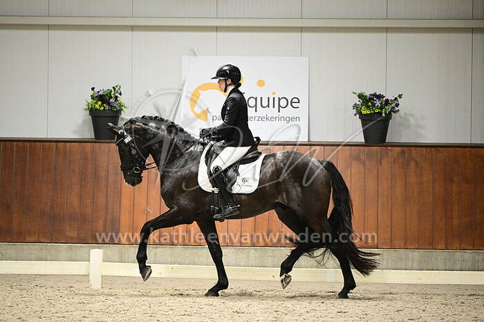 Ruut Pasgang - Spot-on E