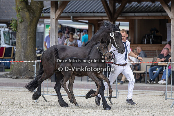 68. Feya Eke fan de Pulpe Hoeve