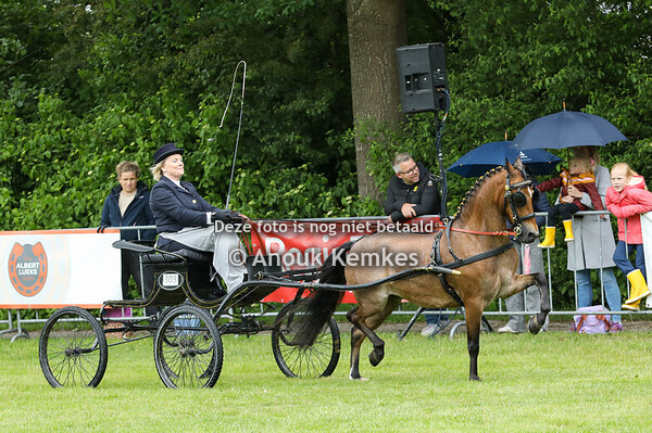 Hackney Grote Limiet