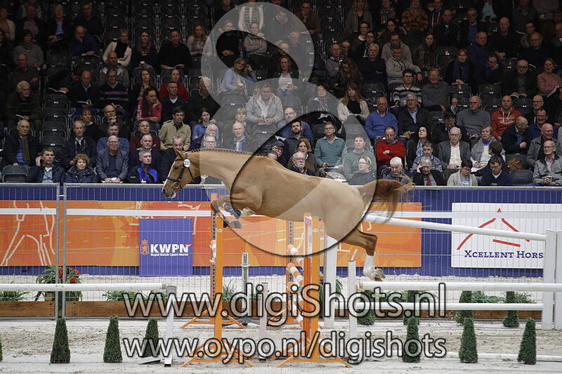 Locomotion v. Quickly de Kreisker