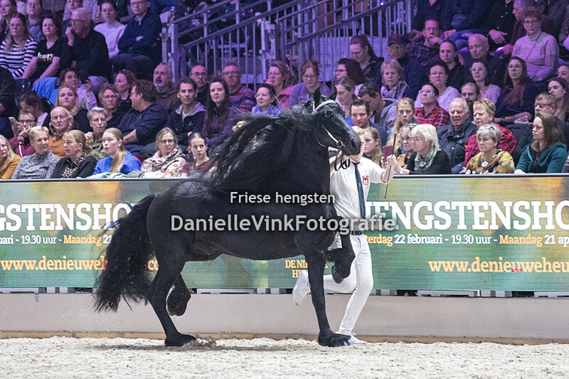 Hengstenkeuring 2025 Hilbrand 525