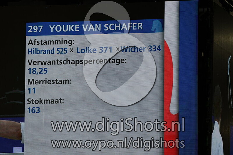 Youke van Schafer