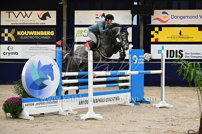 Dominique Greeve - Pominga B