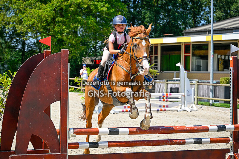 Springen Pony's CDE 50-60-70 cm  AB 60 cm Ruitersport Centrum Breda zaterdag 8 juli 2023