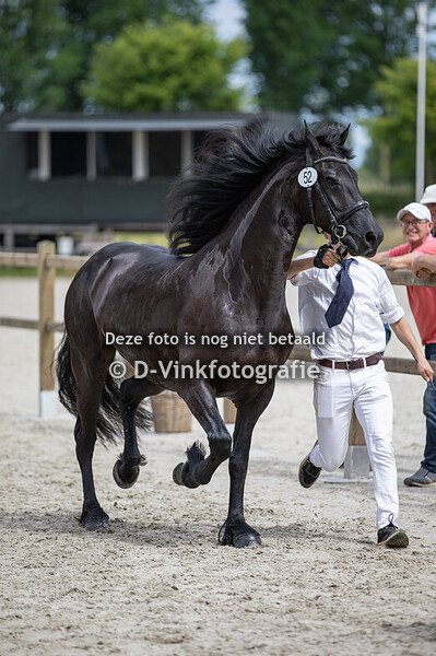 52. Sientje van de Meerbos