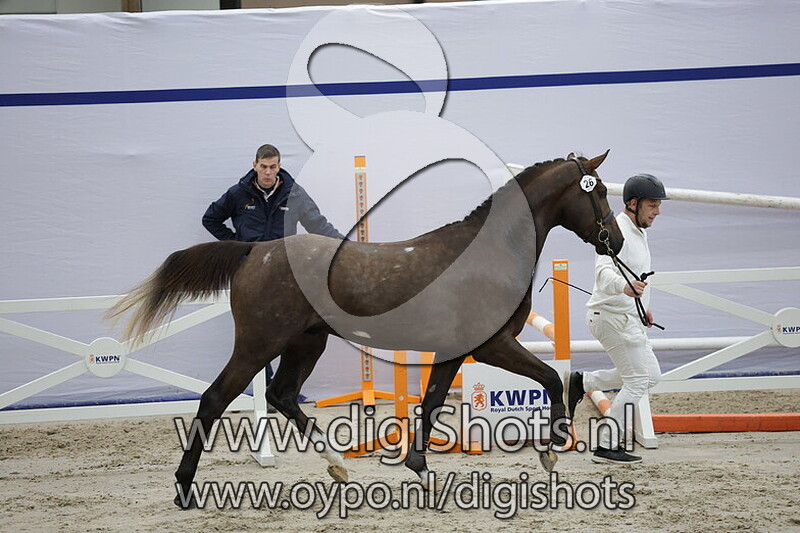 Chac Minfres van Beek Z