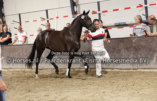 29 Ramina (Taminau x Ina v. Everdale)