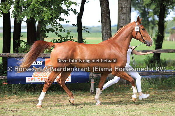 60 Lenora Mera v Casaron