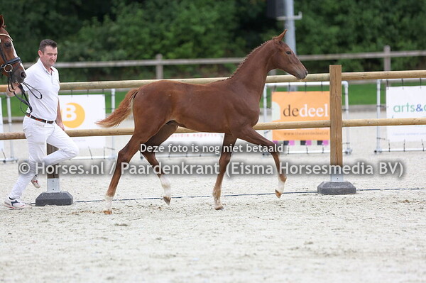 57 Viralou (Vitalis x Fanou v. Santano)