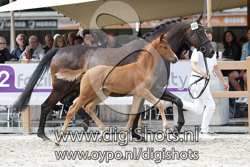 Victoria Cara v. Feliciano