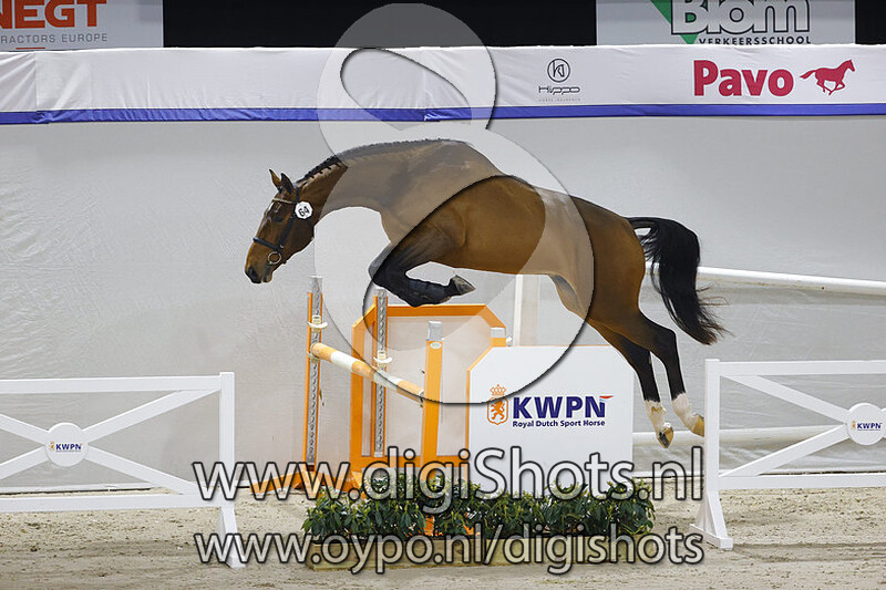 Salvino van 't Merelsnest v. Diamant de Semilly