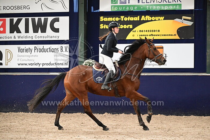 Evelien van den Ende - Opal