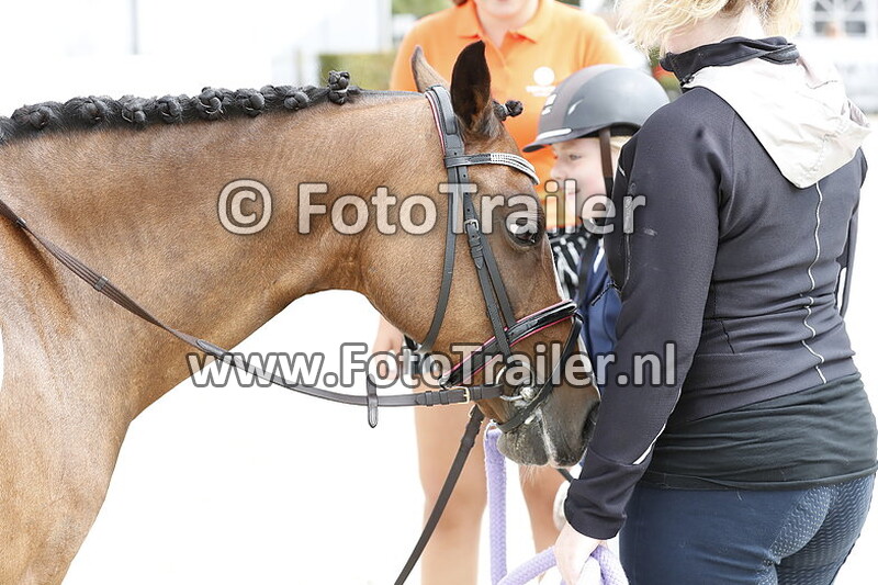 zara van nieuwenhuizen