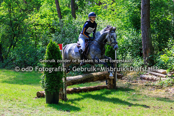 Grandorse Horsetrials Pony B 03-05-25