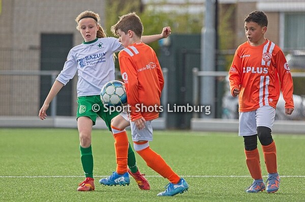 Groene Ster JO11-3 - Weltania jo11-1