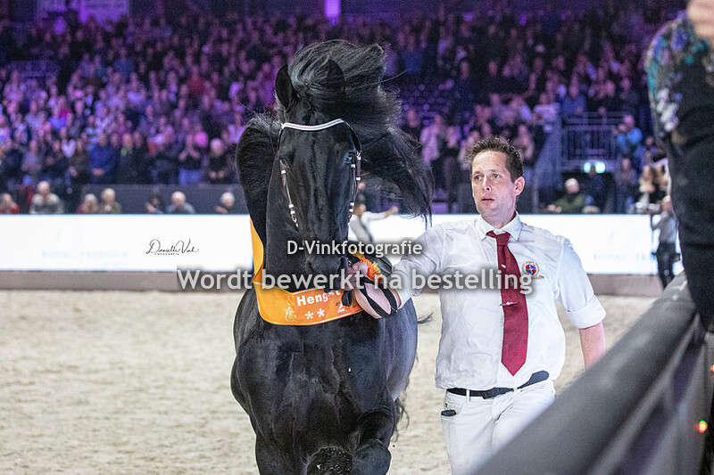 Friese hengstenkeuring